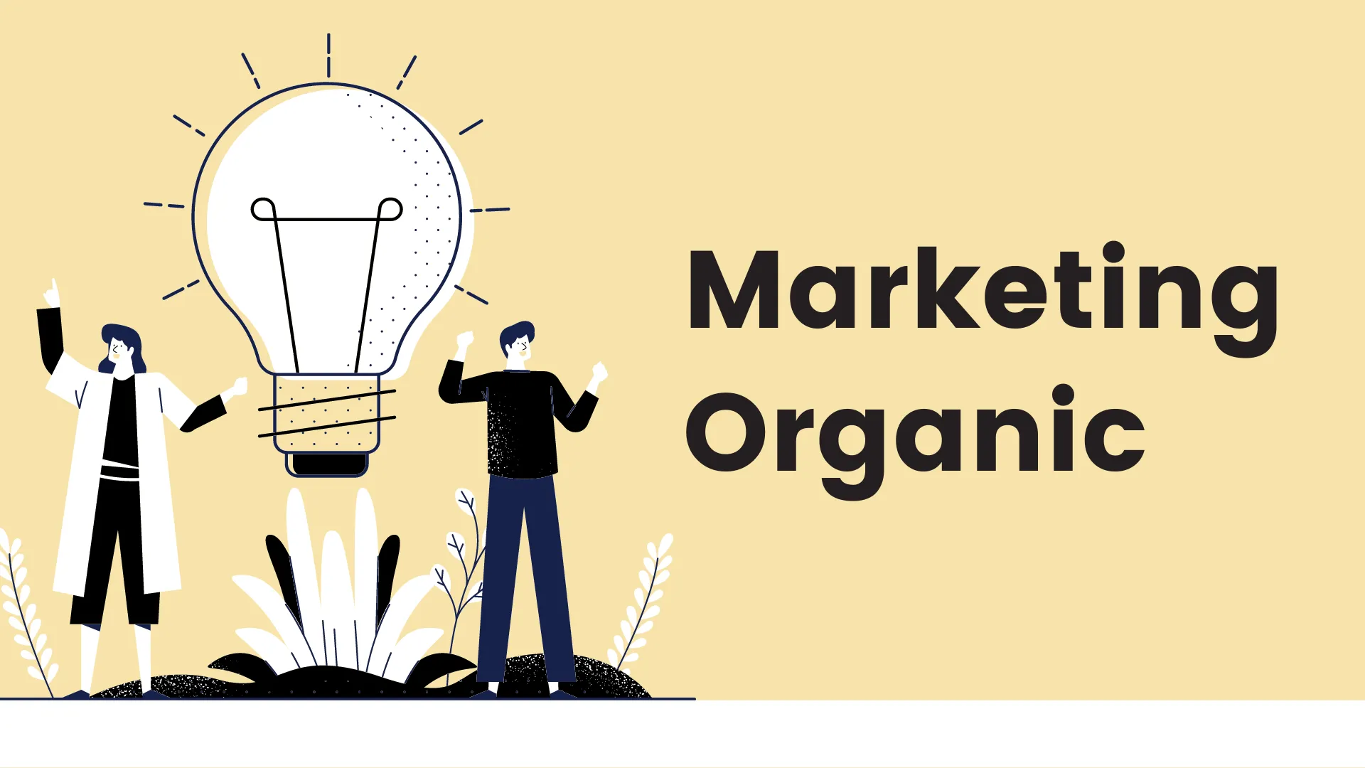 idei de marketing organic