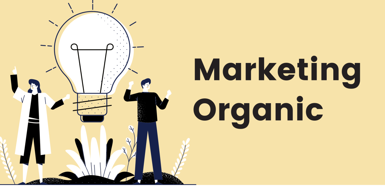 Idei de Marketing Organic pentru antreprenorii cu buget redus